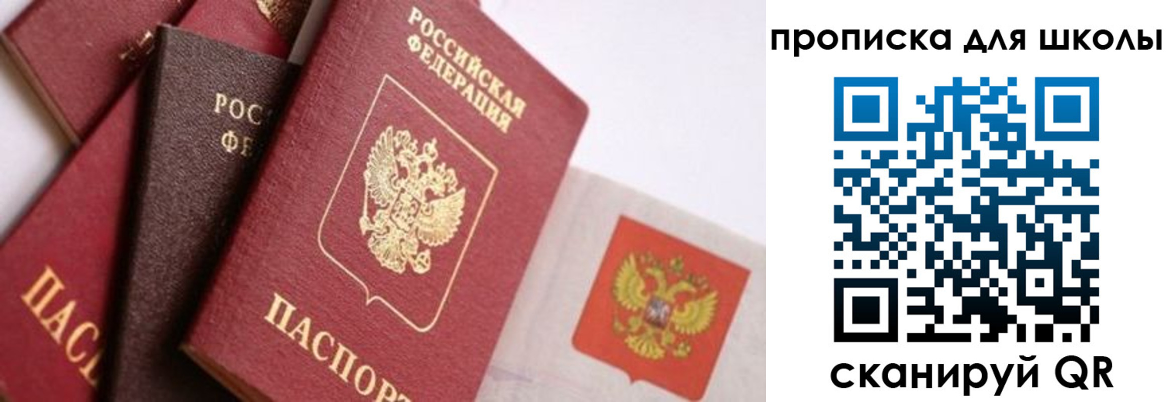 прописка поиск в Богдановиче